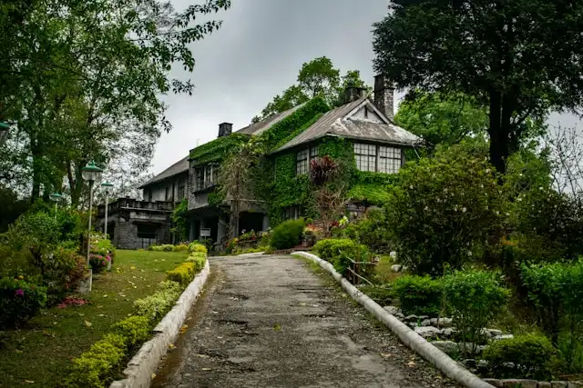 Forest Bungalow